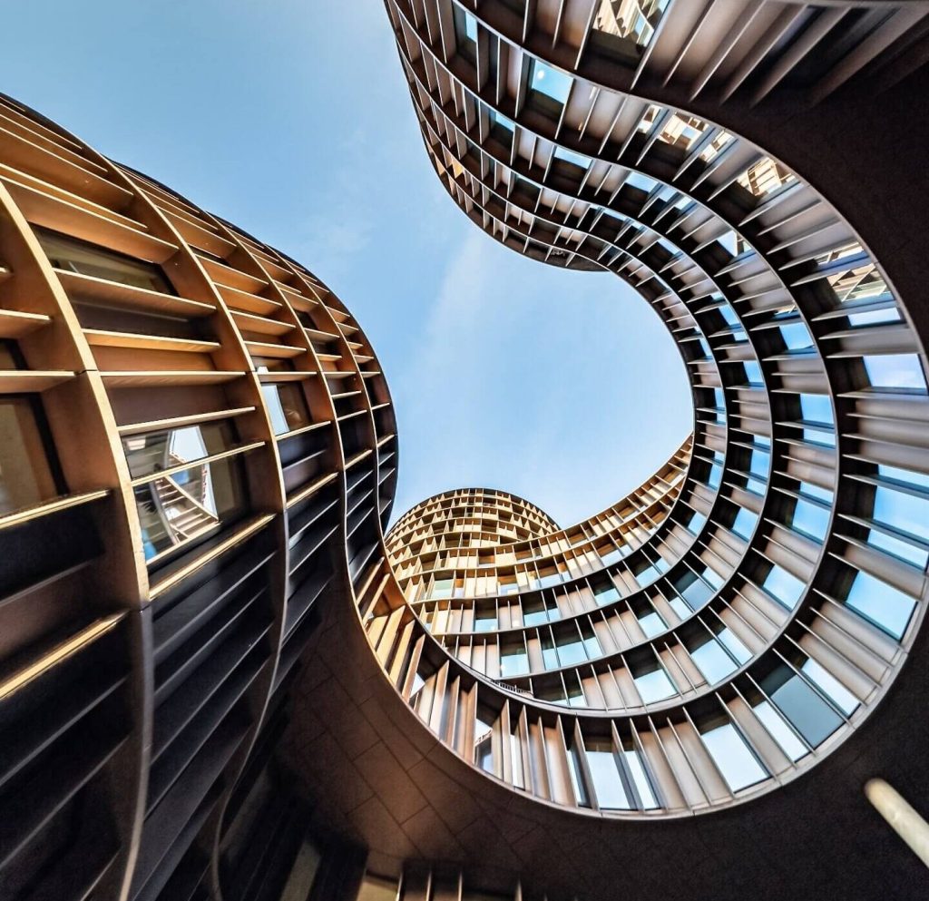 proyecto-profesional